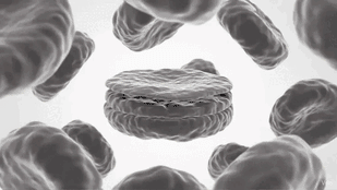 1. Boosts Natural Energy & Metabolism