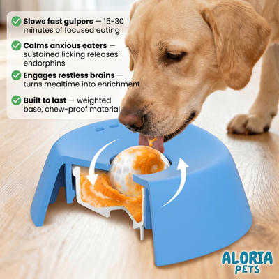 Anxiety-Free Silicone Slow Feeder Pet Bowl