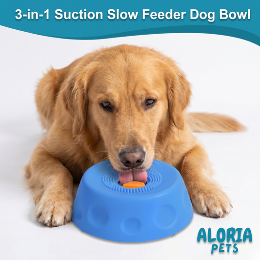 Anxiety-Free Silicone Slow Feeder Pet Bowl