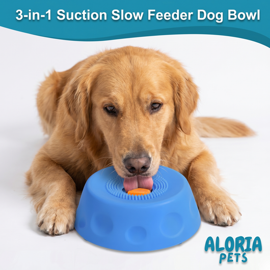 Anxiety-Free Silicone Slow Feeder Pet Bowl